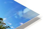 Crystal Clear HD Metal print