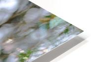 Iridescent Plumage HD Metal print