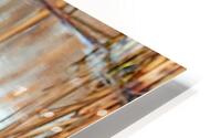 Mr Handsome Reflecting HD Metal print