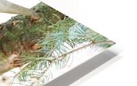 Moo HD Metal print
