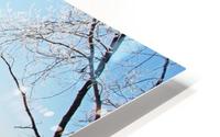 Frosty Winter Countryside I HD Metal print
