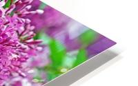 Wine Red Lilacs HD Metal print