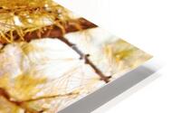 Tamarack Gold HD Metal print