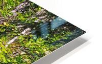Hidden Falls In The Forest HD Metal print