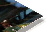 Intensely Focused HD Metal print