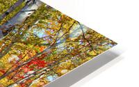 Killarney Provincial Park Autumn Forest HD Metal print