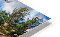 Swirling River  HD Metal print