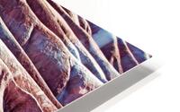 Red Badlands IX HD Metal print