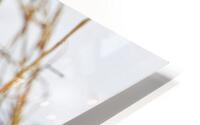 Is It A Plane HD Metal print