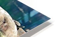 Maps On Rock HD Metal print