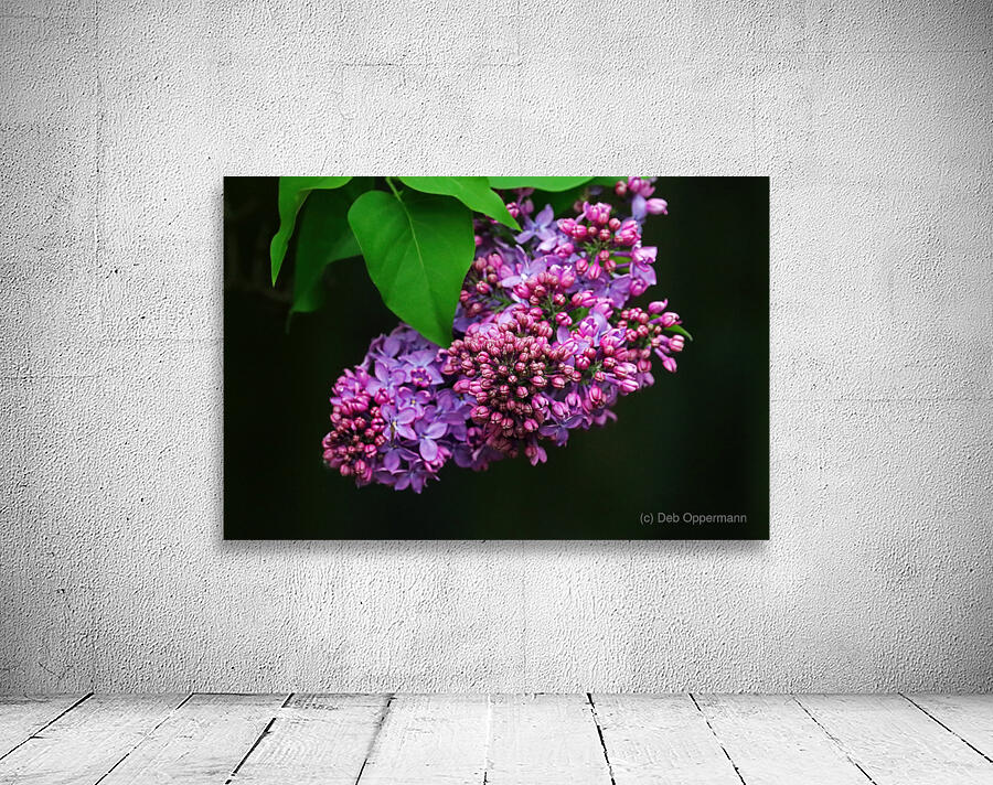 Focus On Lilac Flower Buds Wall Preview