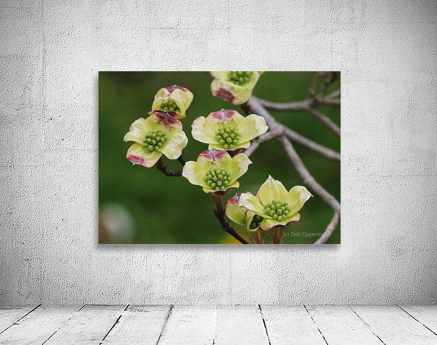 Yellow Dogwood Wall Preview