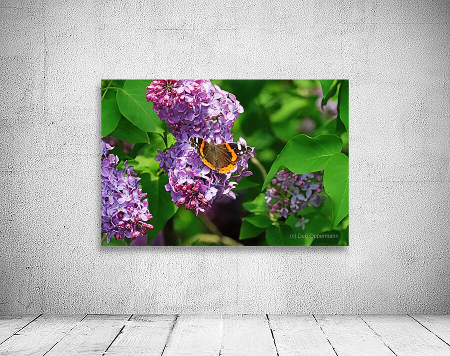 Red Admiral And Lilacs III Wall Preview