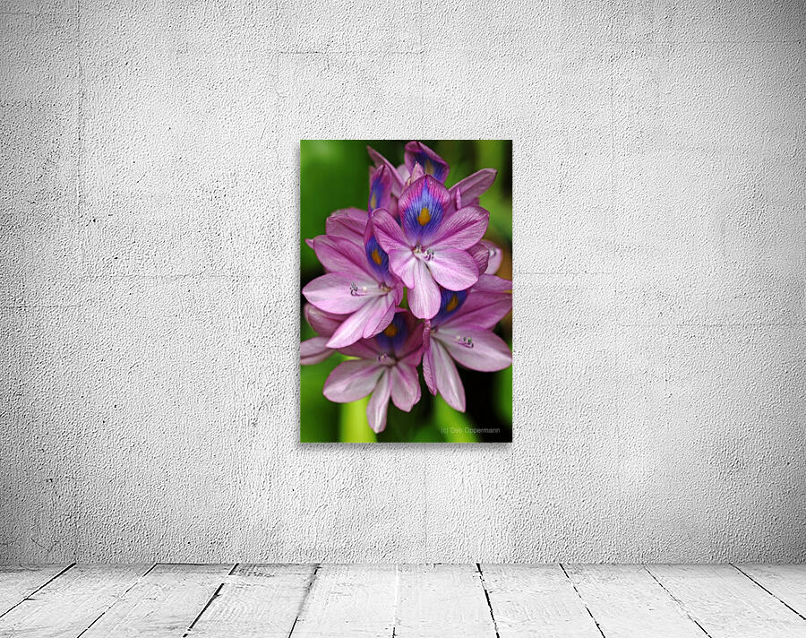 Water Hyacinth Wall Preview