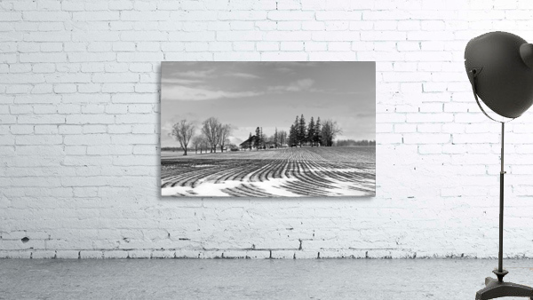 Winter Farm Black  And White Wall Preview