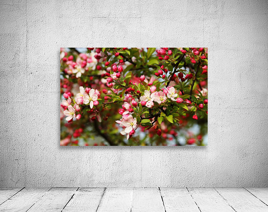 Spring Pink Wall Preview
