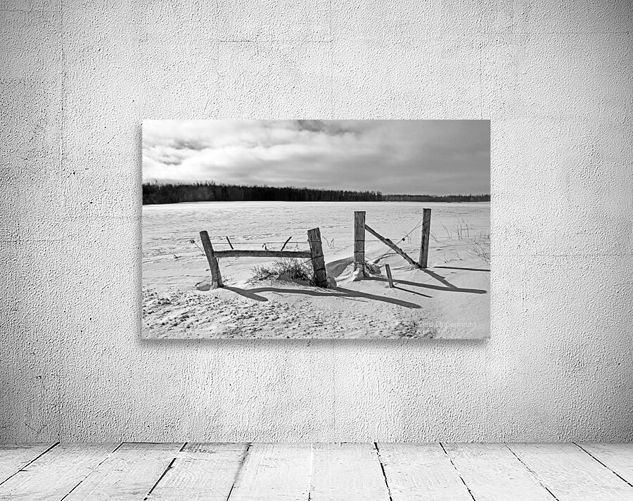 Wood Fence Posts In Winter Black And White Wall Preview