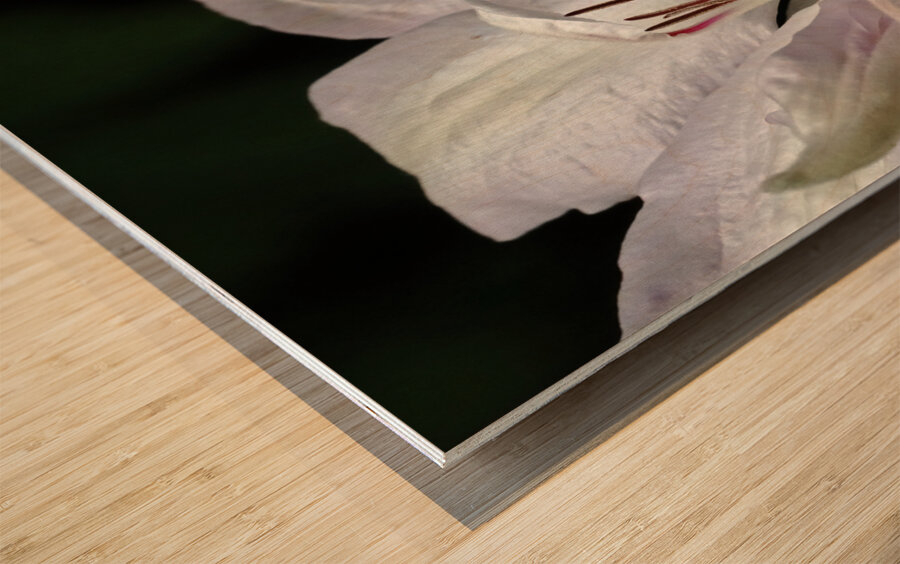 Hints Of Purple And Green Clematis Wood print