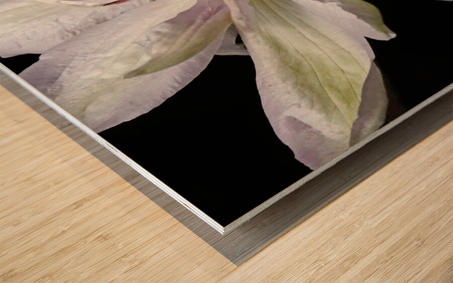 Hints Of Purple Clematis Wood print