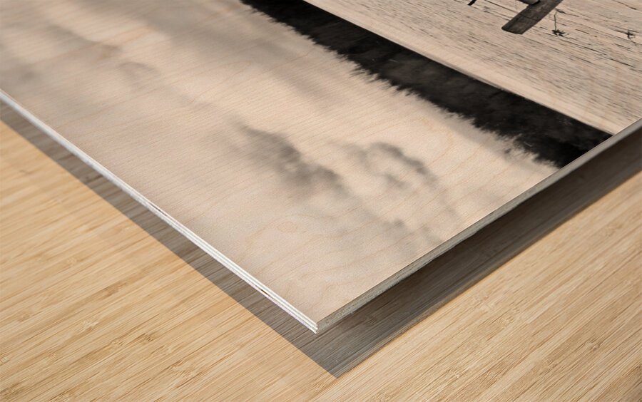 Wood Fence Posts In Winter Black And White Wood print