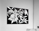 24 Pata Acrylic Print