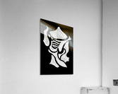9 Sagi Acrylic Print