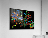 38 Phula Acrylic Print