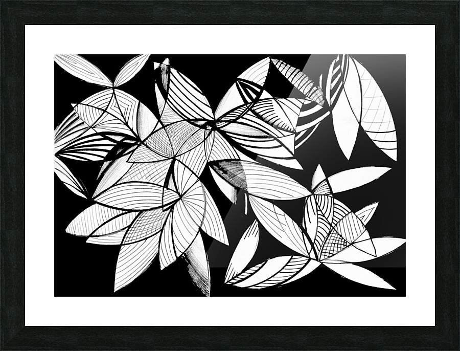 24 Pata Picture Frame print