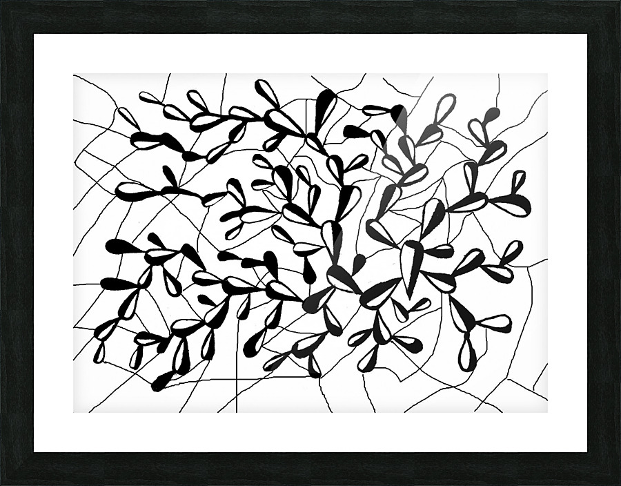 34 Spatulate Picture Frame print