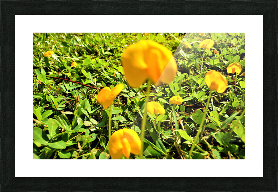 Cholog Picture Frame print