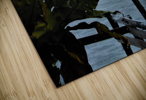 Ame mala puzzle