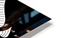 9 Sagi HD Metal print
