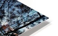 Aasmani HD Metal print