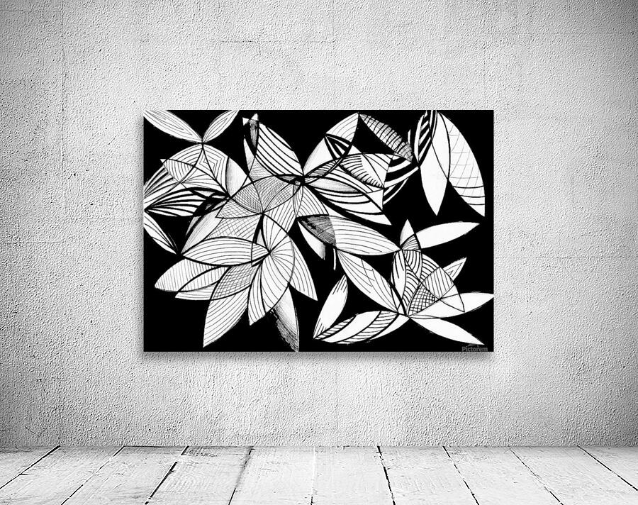 24 Pata Wall Preview