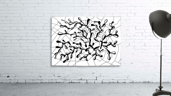 34 Spatulate Wall Preview