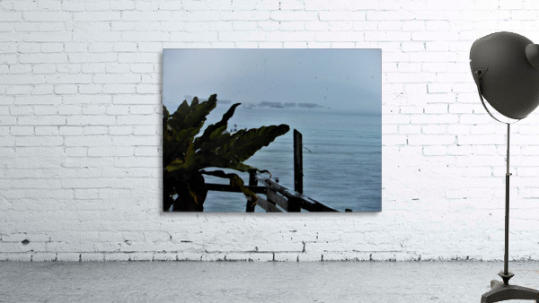 Ame Wall Preview