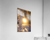 Sunlight and snow Acrylic Print