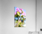 Flowers5 Acrylic Print