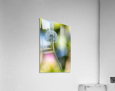 Flowers4 Acrylic Print