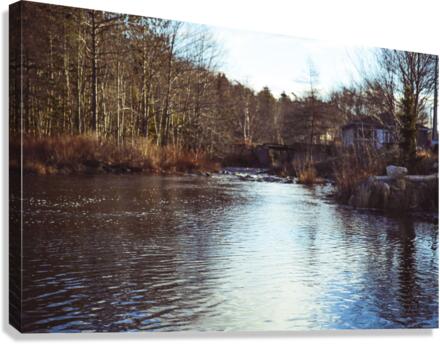 The Mill Pond 5 Canvas Print