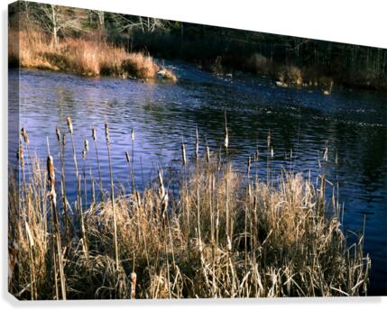 The Mill Pond 4 Canvas Print