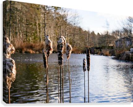The Mill Pond 3 Canvas Print