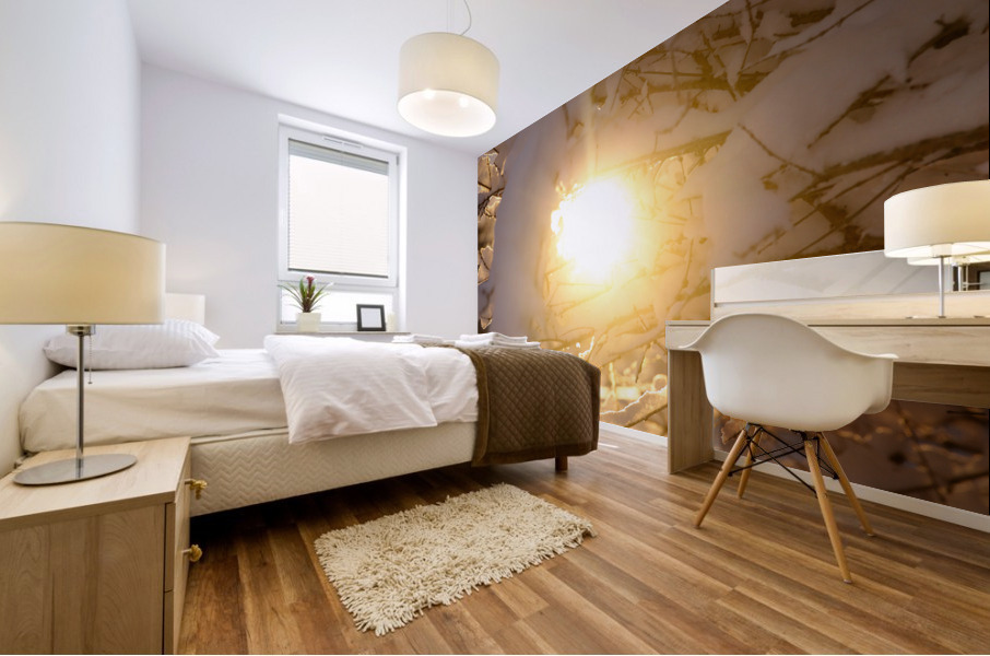 Sunlight and snow Mural print