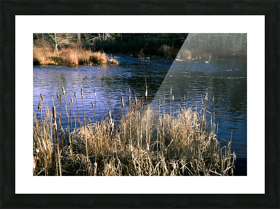 The Mill Pond 4 Picture Frame print