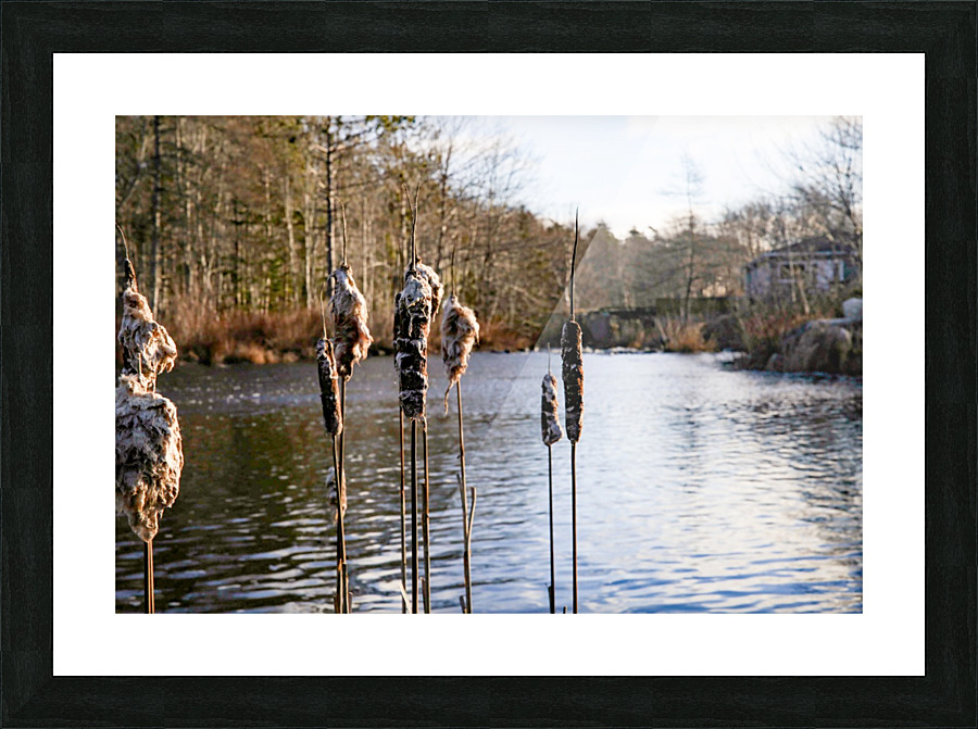 The Mill Pond 3 Picture Frame print