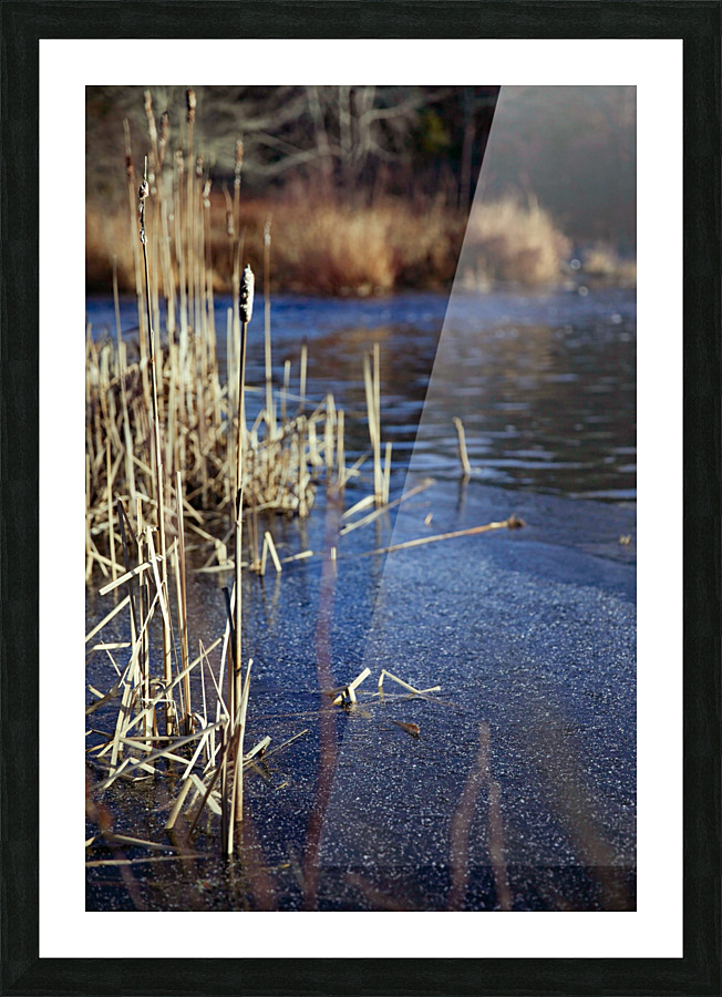 The Mill Pond 2 Picture Frame print