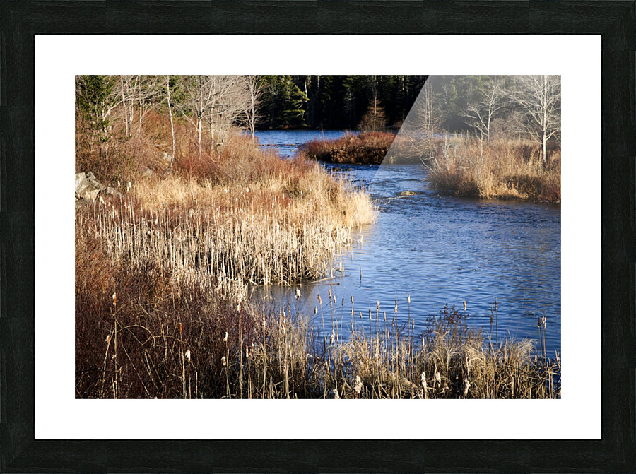 The Mill Pond Picture Frame print