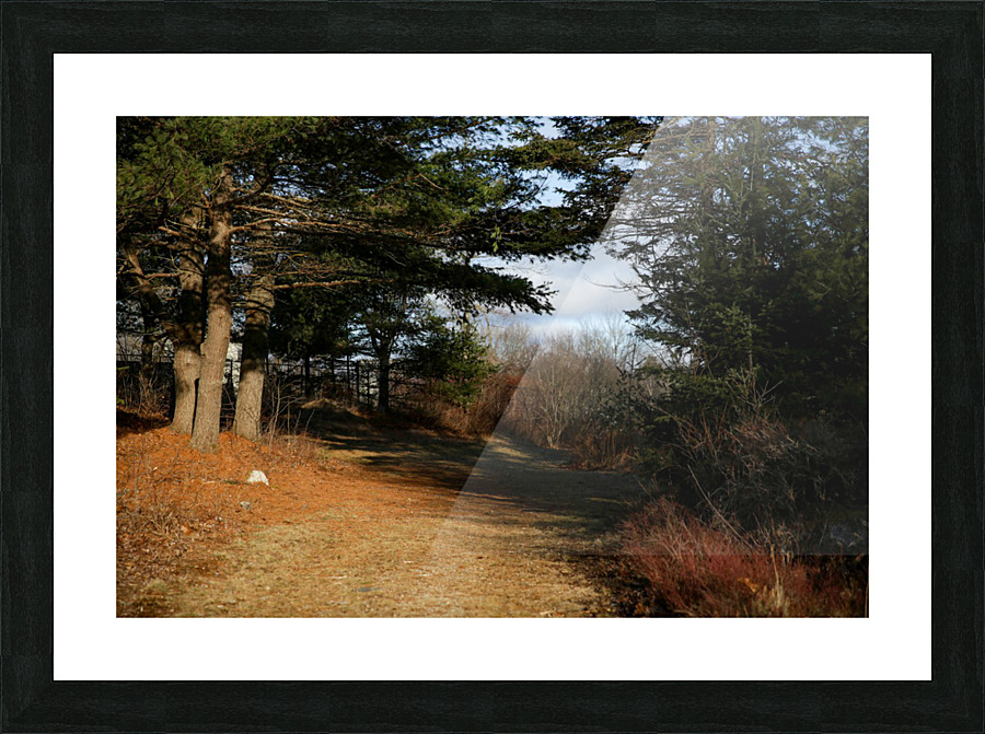Mighty Trees Picture Frame print