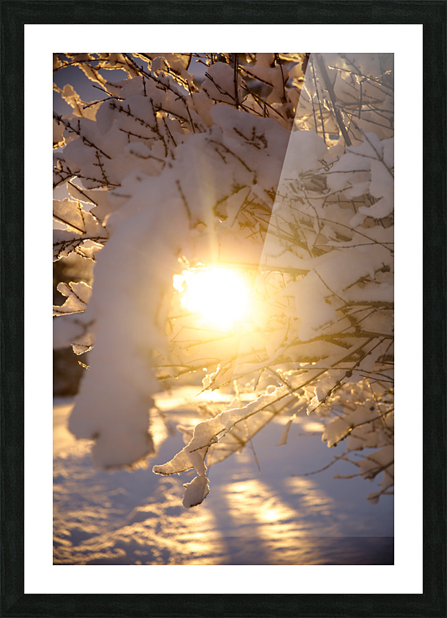 Sunlight and snow Picture Frame print