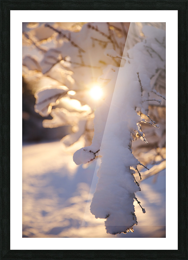 Light and Snow Picture Frame print